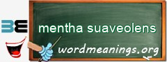 WordMeaning blackboard for mentha suaveolens